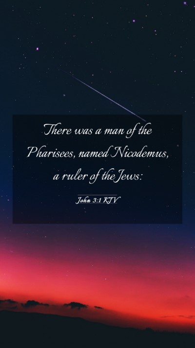 Picture 03 - John 3:1 KJV Mobile Phone Wallpaper - There was a man of the Pharisees, named - Mobile Bible Verse Wallpaper