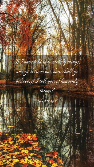 Picture 03 - John 3:12 KJV Mobile Phone Wallpaper - If I have told you earthly things, and ye believe - Mobile Bible Verse Wallpaper