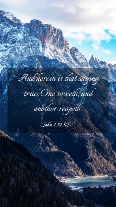 Picture 03 - John 4:37 KJV Mobile Phone Wallpaper - And herein is that saying true, One soweth, and - Mobile Bible Verse Wallpaper