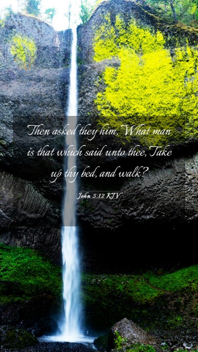 Picture 03 - John 5:12 KJV Mobile Phone Wallpaper - Then asked they him, What man is that which said - Mobile Bible Verse Wallpaper