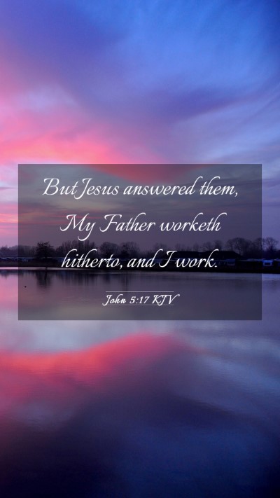 Picture 03 - John 5:17 KJV Mobile Phone Wallpaper - But Jesus answered them, My Father worketh - Mobile Bible Verse Wallpaper