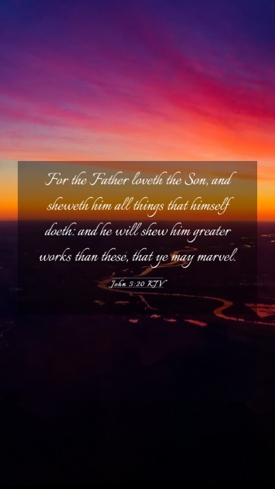 Picture 03 - John 5:20 KJV Mobile Phone Wallpaper - For the Father loveth the Son, and sheweth him - Mobile Bible Verse Wallpaper