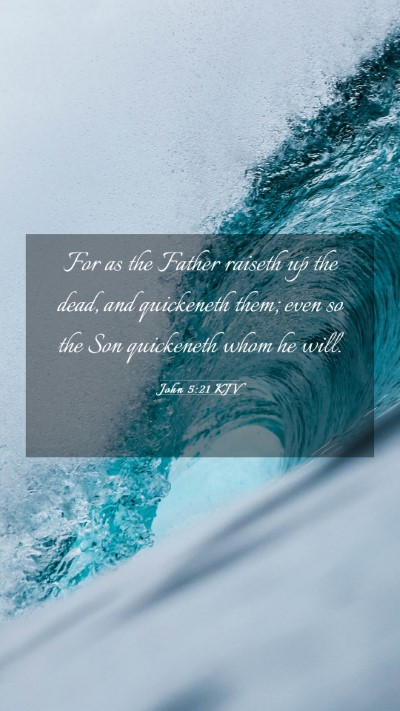 Picture 03 - John 5:21 KJV Mobile Phone Wallpaper - For as the Father raiseth up the dead, and - Mobile Bible Verse Wallpaper