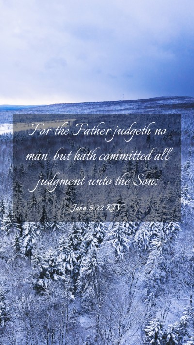 Picture 03 - John 5:22 KJV Mobile Phone Wallpaper - For the Father judgeth no man, but hath committed - Mobile Bible Verse Wallpaper