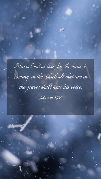 Picture 03 - John 5:28 KJV Mobile Phone Wallpaper - Marvel not at this: for the hour is coming, in - Mobile Bible Verse Wallpaper