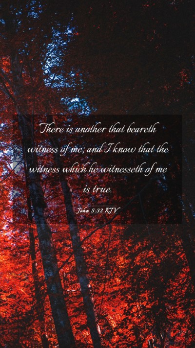 Picture 03 - John 5:32 KJV Mobile Phone Wallpaper - There is another that beareth witness of me; and - Mobile Bible Verse Wallpaper
