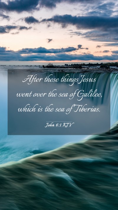 Picture 03 - John 6:1 KJV Mobile Phone Wallpaper - After these things Jesus went over the sea of - Mobile Bible Verse Wallpaper