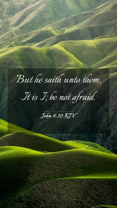 Picture 03 - John 6:20 KJV Mobile Phone Wallpaper - But he saith unto them, It is I; be not - Mobile Bible Verse Wallpaper