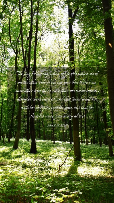 Picture 03 - John 6:22 KJV Mobile Phone Wallpaper - The day following, when the people which stood on - Mobile Bible Verse Wallpaper