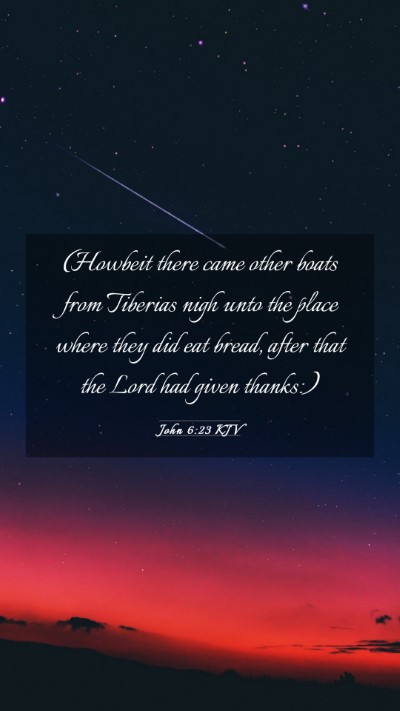 Picture 03 - John 6:23 KJV Mobile Phone Wallpaper - (Howbeit there came other boats from Tiberias - Mobile Bible Verse Wallpaper