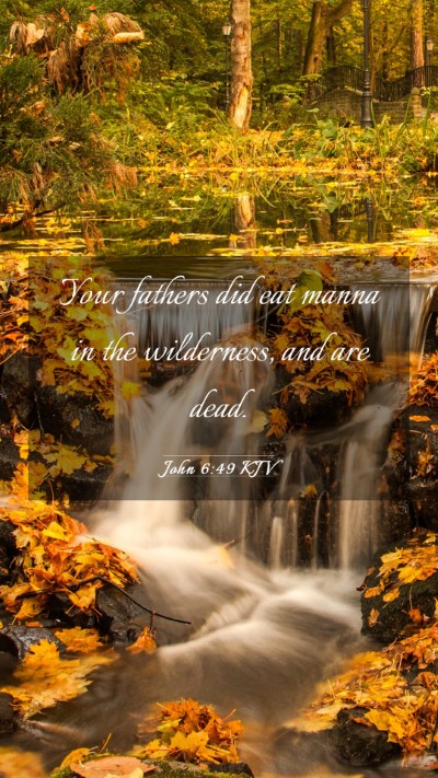 Picture 03 - John 6:49 KJV Mobile Phone Wallpaper - Your fathers did eat manna in the wilderness, and - Mobile Bible Verse Wallpaper