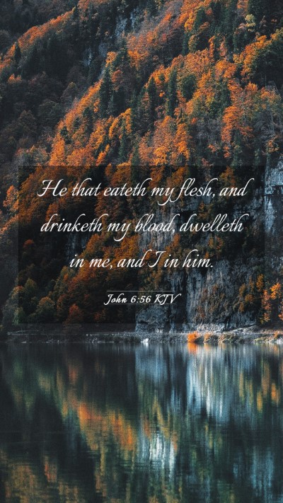 Picture 03 - John 6:56 KJV Mobile Phone Wallpaper - He that eateth my flesh, and drinketh my blood, - Mobile Bible Verse Wallpaper