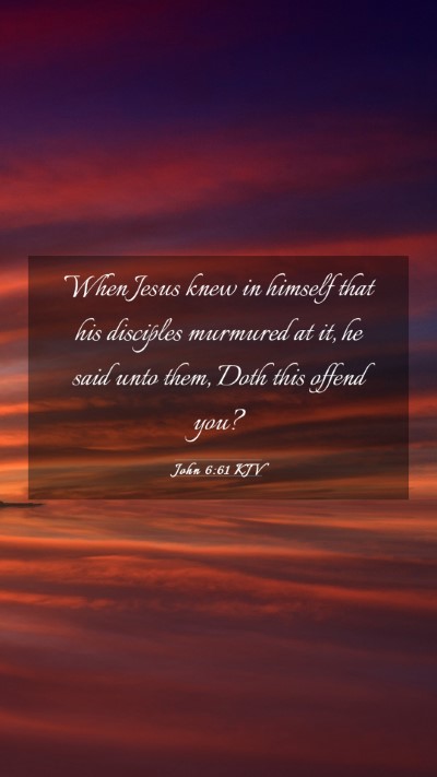 Picture 03 - John 6:61 KJV Mobile Phone Wallpaper - When Jesus knew in himself that his disciples - Mobile Bible Verse Wallpaper