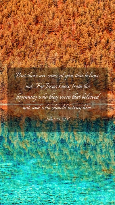 Picture 03 - John 6:64 KJV Mobile Phone Wallpaper - But there are some of you that believe not. For - Mobile Bible Verse Wallpaper
