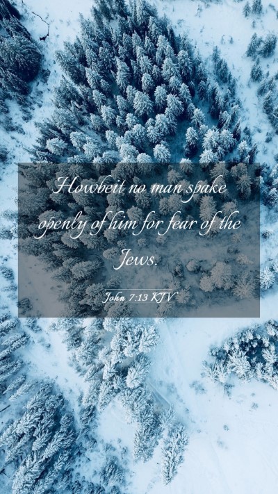 Picture 03 - John 7:13 KJV Mobile Phone Wallpaper - Howbeit no man spake openly of him for fear of - Mobile Bible Verse Wallpaper