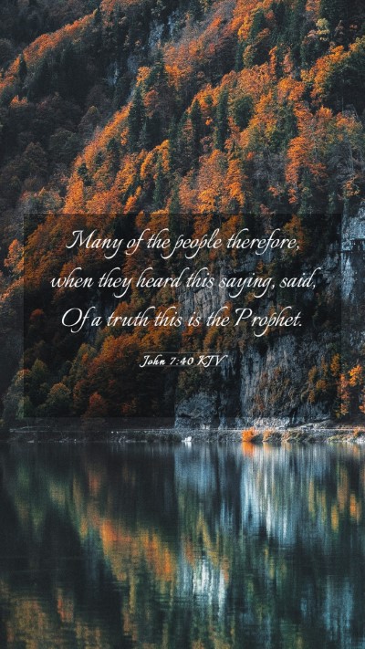 Picture 03 - John 7:40 KJV Mobile Phone Wallpaper - Many of the people therefore, when they heard - Mobile Bible Verse Wallpaper