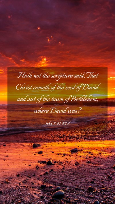 Picture 03 - John 7:42 KJV Mobile Phone Wallpaper - Hath not the scripture said, That Christ cometh - Mobile Bible Verse Wallpaper