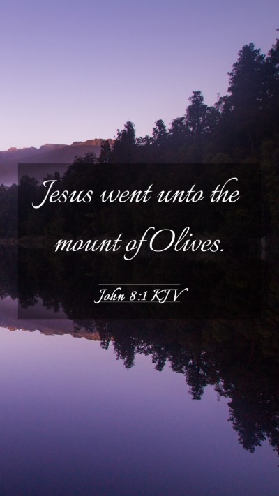 Picture 03 - John 8:1 KJV Mobile Phone Wallpaper - Jesus went unto the mount of - Mobile Bible Verse Wallpaper