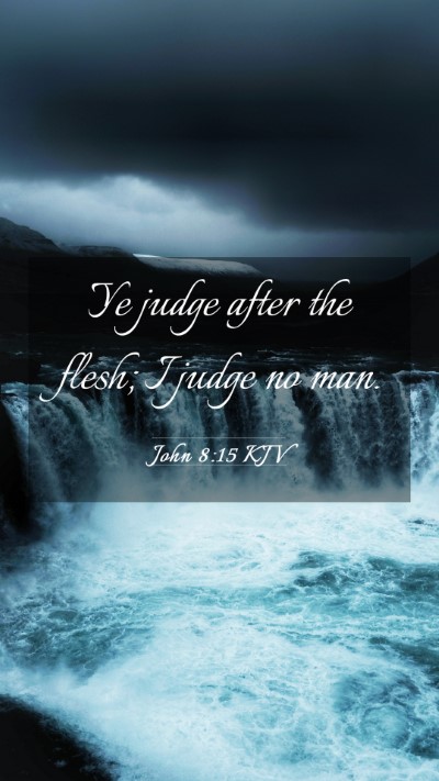 Picture 03 - John 8:15 KJV Mobile Phone Wallpaper - Ye judge after the flesh; I judge no - Mobile Bible Verse Wallpaper