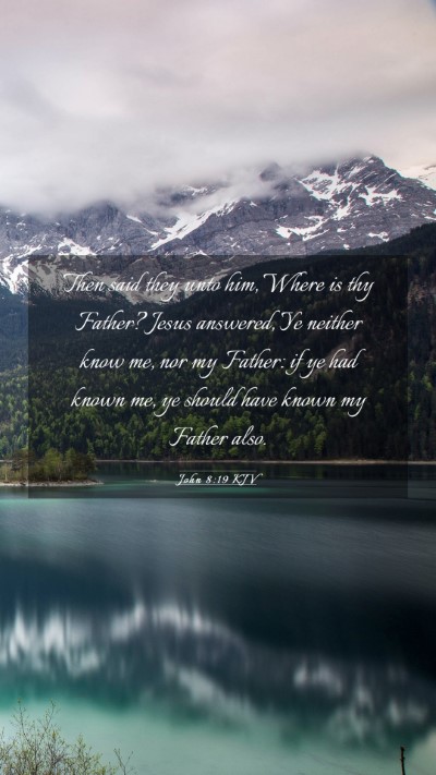 Picture 03 - John 8:19 KJV Mobile Phone Wallpaper - Then said they unto him, Where is thy Father? - Mobile Bible Verse Wallpaper