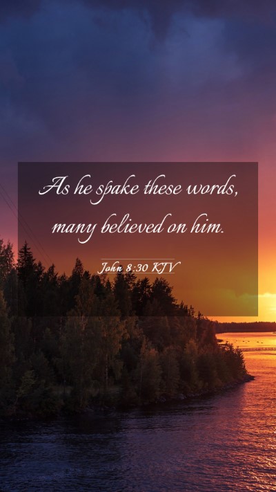 Picture 03 - John 8:30 KJV Mobile Phone Wallpaper - As he spake these words, many believed on - Mobile Bible Verse Wallpaper