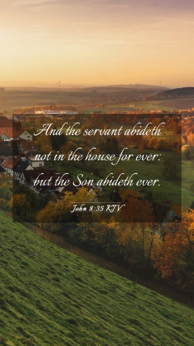 Picture 03 - John 8:35 KJV Mobile Phone Wallpaper - And the servant abideth not in the house for - Mobile Bible Verse Wallpaper