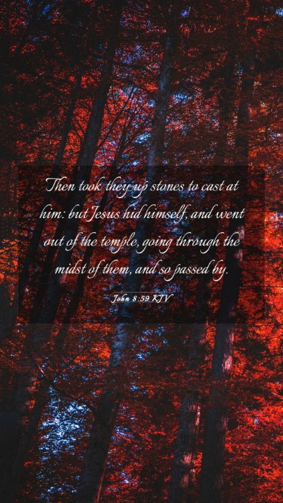 Picture 03 - John 8:59 KJV Mobile Phone Wallpaper - Then took they up stones to cast at him: but - Mobile Bible Verse Wallpaper