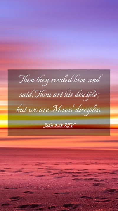 Picture 03 - John 9:28 KJV Mobile Phone Wallpaper - Then they reviled him, and said, Thou art his - Mobile Bible Verse Wallpaper