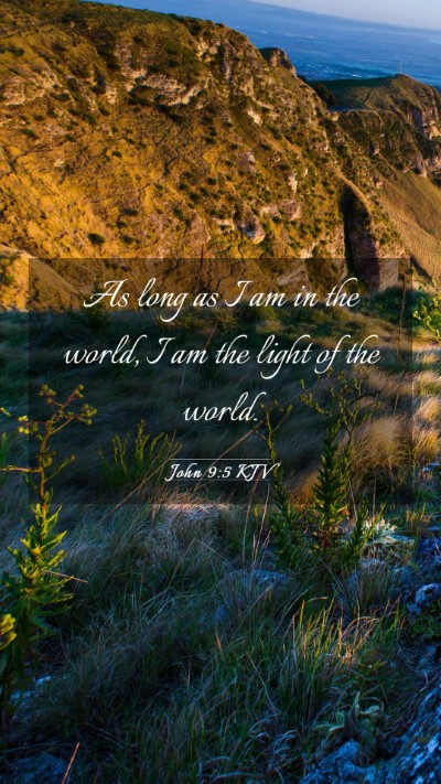Picture 03 - John 9:5 KJV Mobile Phone Wallpaper - As long as I am in the world, I am the light of - Mobile Bible Verse Wallpaper