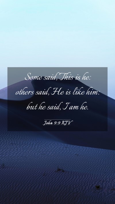 Picture 03 - John 9:9 KJV Mobile Phone Wallpaper - Some said, This is he: others said, He is like - Mobile Bible Verse Wallpaper