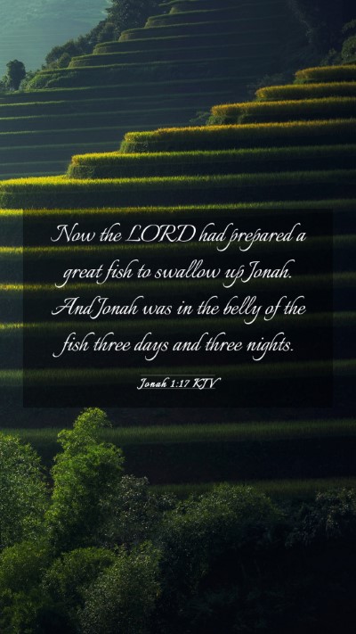 Picture 03 - Jonah 1:17 KJV Mobile Phone Wallpaper - Now the LORD had prepared a great fish to swallow - Mobile Bible Verse Wallpaper