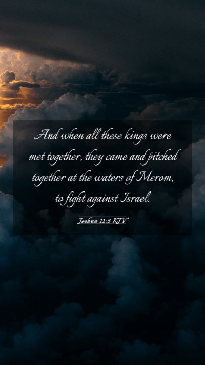 Picture 03 - Joshua 11:5 KJV Mobile Phone Wallpaper - And when all these kings were met together, they - Mobile Bible Verse Wallpaper