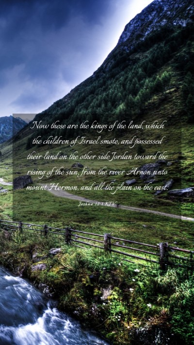 Picture 03 - Joshua 12:1 KJV Mobile Phone Wallpaper - Now these are the kings of the land, which the - Mobile Bible Verse Wallpaper
