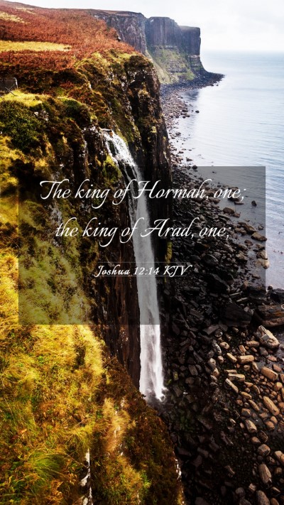 Picture 03 - Joshua 12:14 KJV Mobile Phone Wallpaper - The king of Hormah, one; the king of Arad, - Mobile Bible Verse Wallpaper