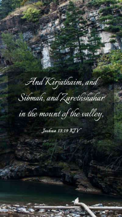 Picture 03 - Joshua 13:19 KJV Mobile Phone Wallpaper - And Kirjathaim, and Sibmah, and Zarethshahar in - Mobile Bible Verse Wallpaper