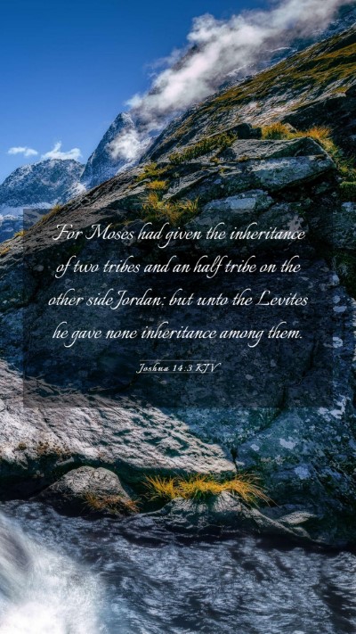 Picture 03 - Joshua 14:3 KJV Mobile Phone Wallpaper - For Moses had given the inheritance of two tribes - Mobile Bible Verse Wallpaper