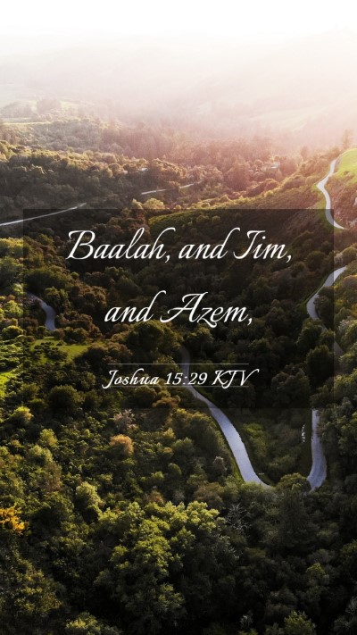Picture 03 - Joshua 15:29 KJV Mobile Phone Wallpaper - Baalah, and Iim, and - Mobile Bible Verse Wallpaper