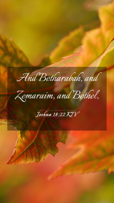 Picture 03 - Joshua 18:22 KJV Mobile Phone Wallpaper - And Betharabah, and Zemaraim, and - Mobile Bible Verse Wallpaper
