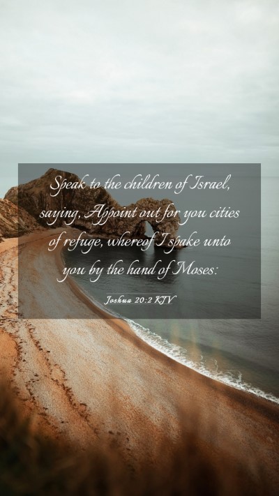 Picture 03 - Joshua 20:2 KJV Mobile Phone Wallpaper - Speak to the children of Israel, saying, Appoint - Mobile Bible Verse Wallpaper