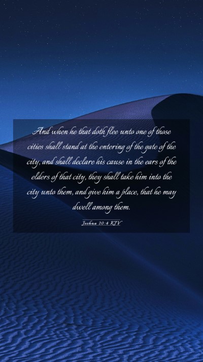 Picture 03 - Joshua 20:4 KJV Mobile Phone Wallpaper - And when he that doth flee unto one of those - Mobile Bible Verse Wallpaper