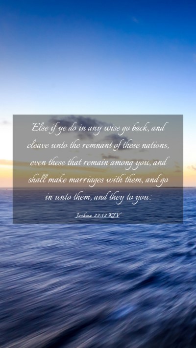 Picture 03 - Joshua 23:12 KJV Mobile Phone Wallpaper - Else if ye do in any wise go back, and cleave - Mobile Bible Verse Wallpaper