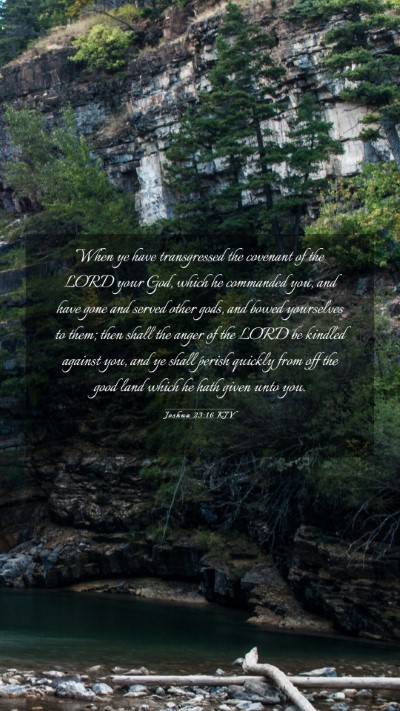 Picture 03 - Joshua 23:16 KJV Mobile Phone Wallpaper - When ye have transgressed the covenant of the - Mobile Bible Verse Wallpaper