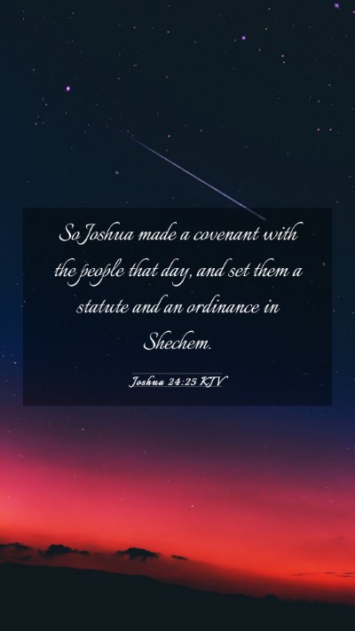 Picture 03 - Joshua 24:25 KJV Mobile Phone Wallpaper - So Joshua made a covenant with the people that - Mobile Bible Verse Wallpaper