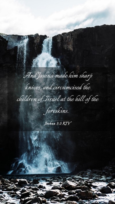 Picture 03 - Joshua 5:3 KJV Mobile Phone Wallpaper - And Joshua made him sharp knives, and circumcised - Mobile Bible Verse Wallpaper