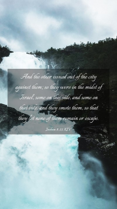 Picture 03 - Joshua 8:22 KJV Mobile Phone Wallpaper - And the other issued out of the city against - Mobile Bible Verse Wallpaper
