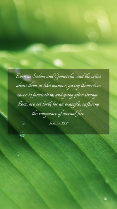 Picture 03 - Jude 1:7 KJV Mobile Phone Wallpaper - Even as Sodom and Gomorrha, and the cities about - Mobile Bible Verse Wallpaper