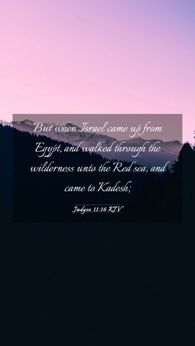 Picture 03 - Judges 11:16 KJV Mobile Phone Wallpaper - But when Israel came up from Egypt, and walked - Mobile Bible Verse Wallpaper