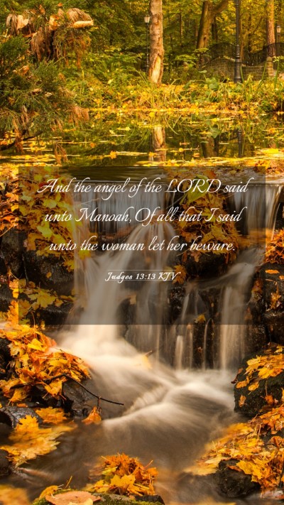 Picture 03 - Judges 13:13 KJV Mobile Phone Wallpaper - And the angel of the LORD said unto Manoah, Of - Mobile Bible Verse Wallpaper