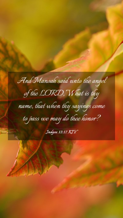 Picture 03 - Judges 13:17 KJV Mobile Phone Wallpaper - And Manoah said unto the angel of the LORD, What - Mobile Bible Verse Wallpaper