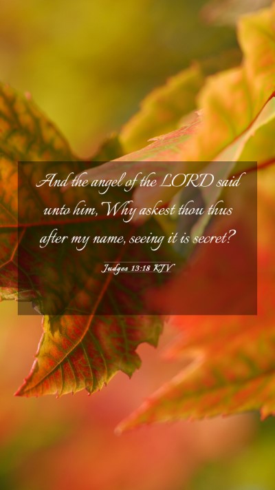 Picture 03 - Judges 13:18 KJV Mobile Phone Wallpaper - And the angel of the LORD said unto him, Why - Mobile Bible Verse Wallpaper